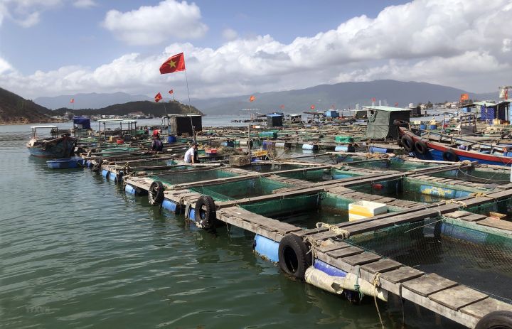 The situation of aquaculture in Vietnam