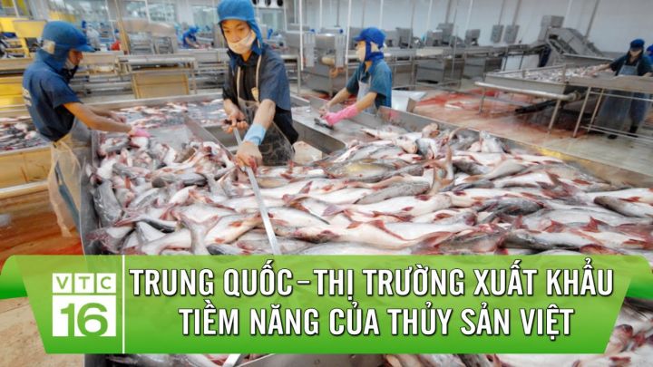 In 2023, expect the strong growth of seafood exports to the Chinese market